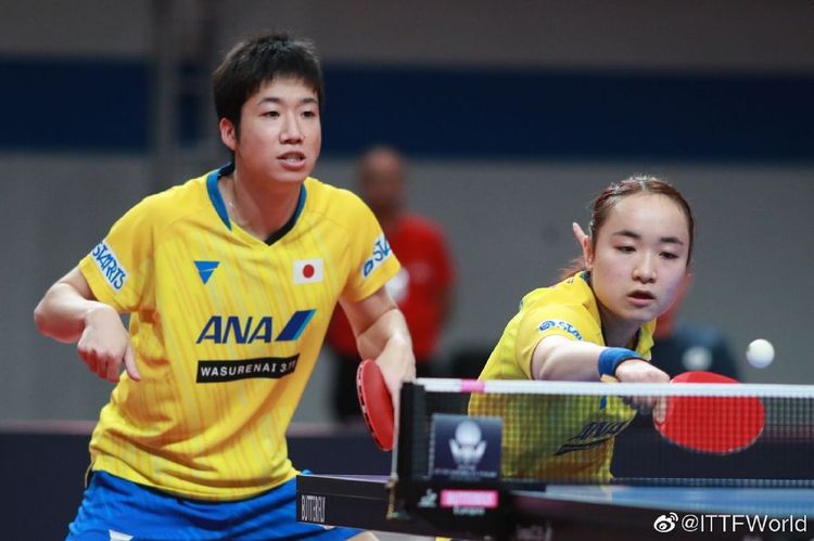 国外排球名 国外排球名