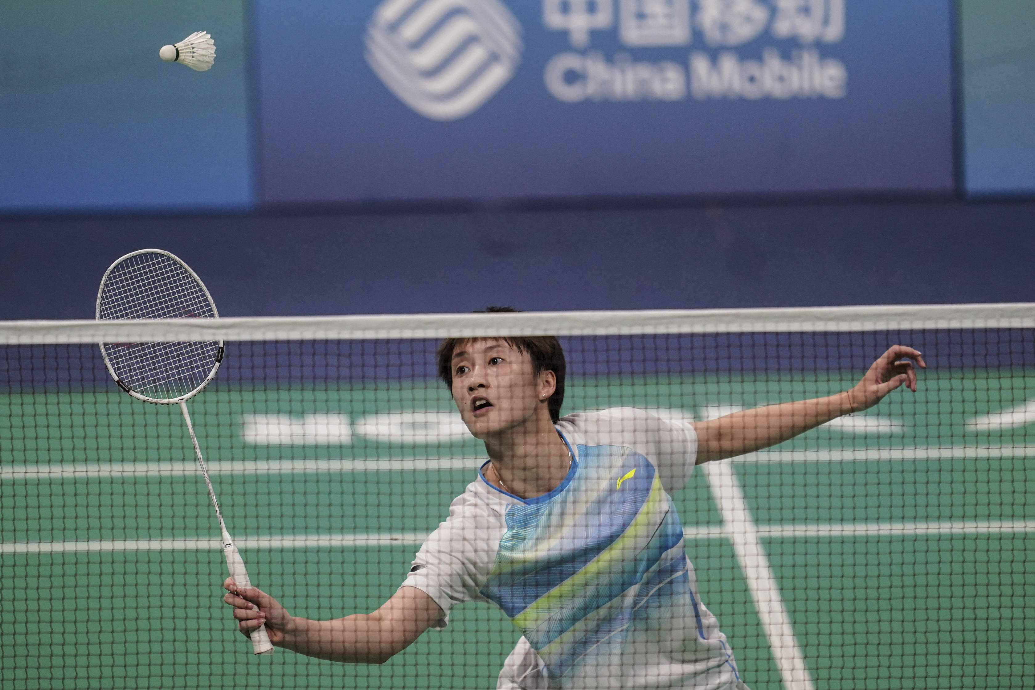 龙与镀层 龙与镀层